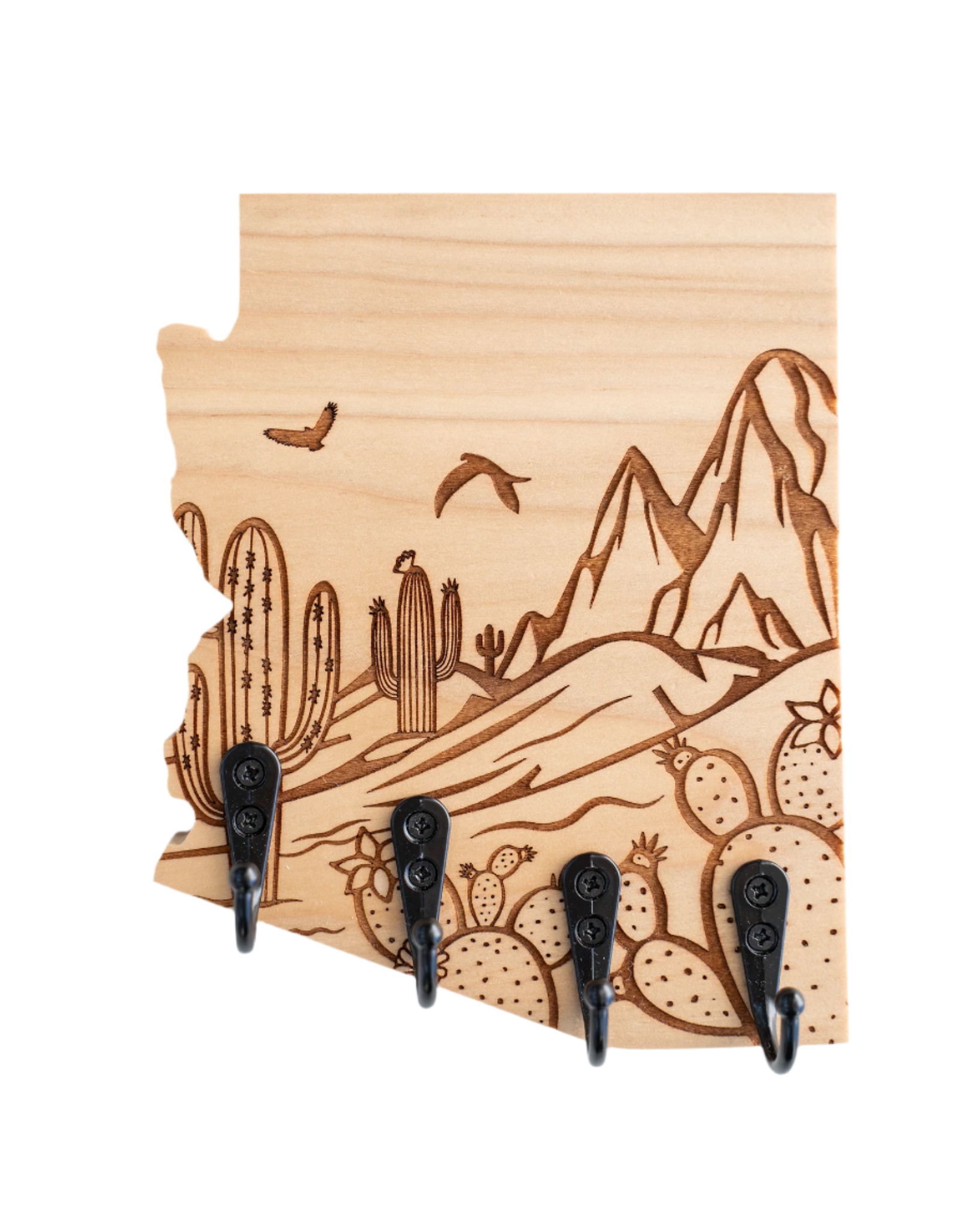 Desert Scene Arizona Key Hanger